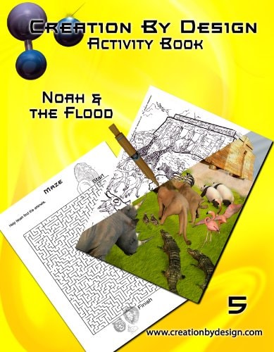 Activity Book - Noah and the Flood