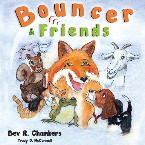 Bouncer and Friends