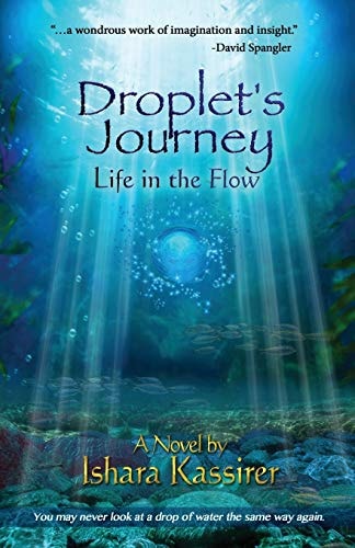 Droplet's Journey Life in the Flow