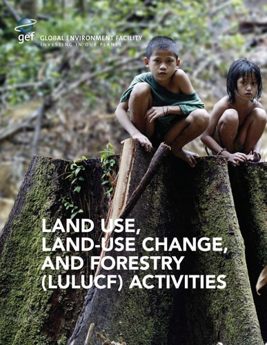 Land Use, Land-Use Change, and Forestry (LULUCF) Activities