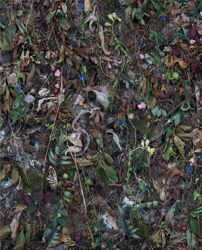 Fruitless ; Fallen ; Woven