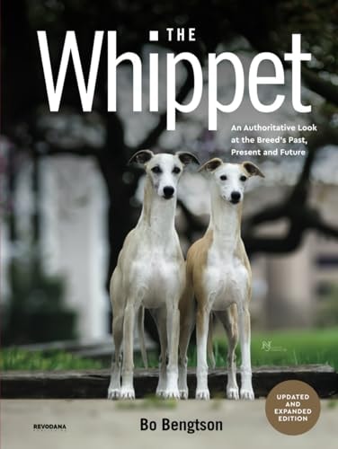 The Whippet: An Authoritative Look at the Breed’s Past, Present and Future