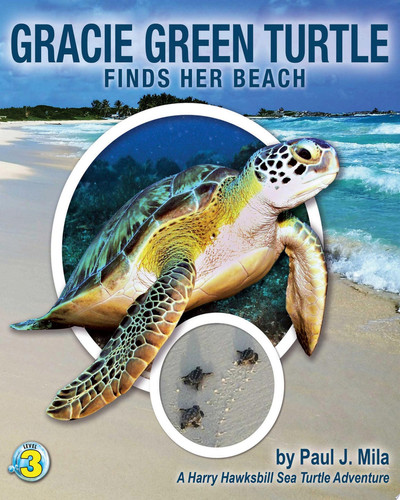 Gracie Green Turtle Finds Her Beach