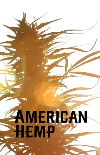 American Hemp Revitalizing Economies Through Health and High-Paying Jobs