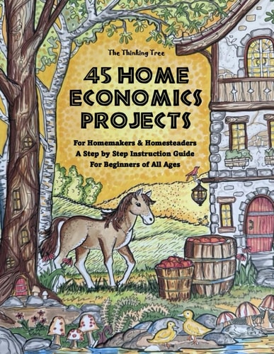 45 Home Economics Projects