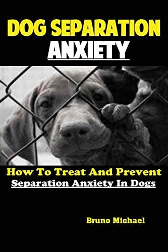 Dog Separation Anxiety How To Treat And Prevent Separation Anxiety In Dogs