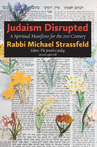 Judaism Disrupted A Spiritual Manifesto for the 21st Century