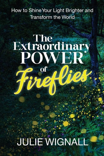 The Extraordinary Power of Fireflies How to Shine Your Light Brighter and Transform the World