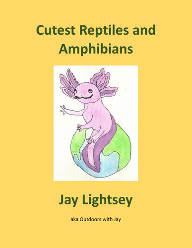 Cutest Reptiles and Amphibians