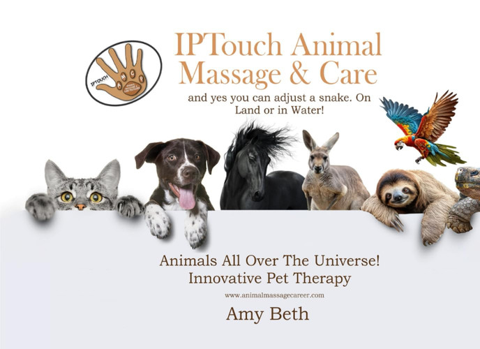 IPTouch Animal Massage & Care And Yes You Can Adjust a Snake. on Land Or in Water!
