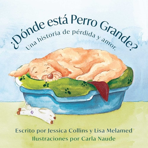 ¿Dónde está Perro Grande? - Una historia de pérdida y amor