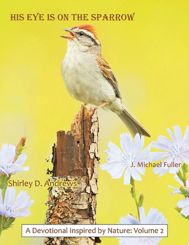 HIS Eye is on the Sparrow
