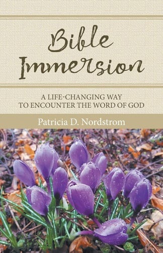 Bible Immersion A Life-Changing Way to Encounter the Word of God