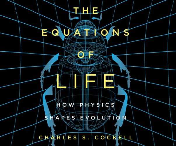 The Equations of Life: How Physics Shapes Evolution