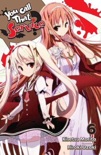 You Call That Service?, Vol. 6 (light novel)