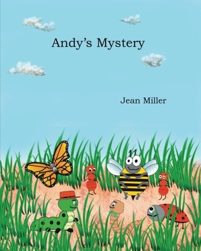 Andy's Mystery