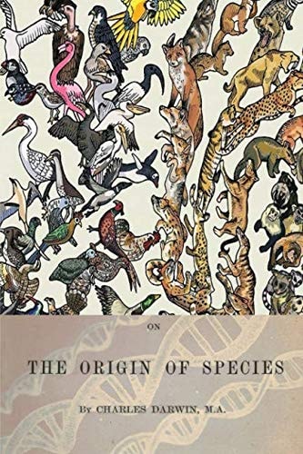 Edition published by CreateSpace Independent Publishing Platform