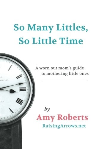 So Many Littles, So Little Time: A Worn Out Mom's Guide to Mothering Little Ones