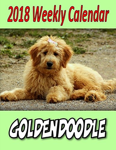 2018 Weekly Calendar Goldendoodle