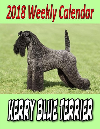 2018 Weekly Calendar Kerry Blue Terrier