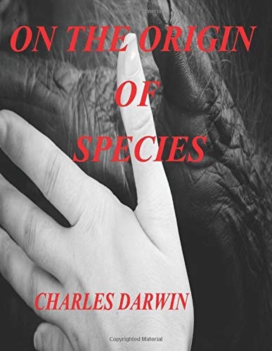 Edition published by Independently Published
