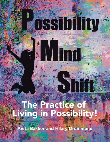 Possibility Mind Shift The Practice of Living in Possibility!
