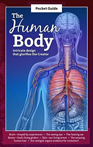 The Human Body - Pocket Guide