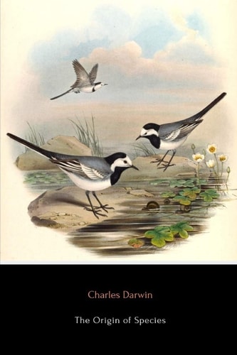 Edition published by CreateSpace Independent Publishing Platform
