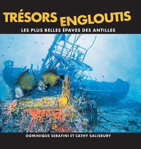 Trésors Engloutis Les plus belles épaves des Antilles