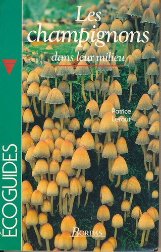 Les champignons dans leur milieu