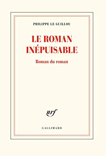 Le roman inépuisable roman du roman