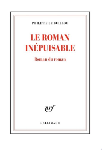 Le roman inépuisable. Roman du roman