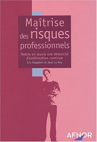 Maitrise des risques professionnels (French Edition)