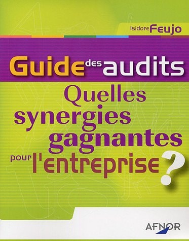 Guide des audits quelles synergies gagnantes pour l'entreprise ?
