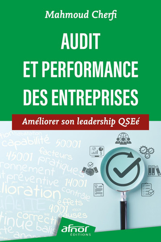 Audit et performance des entreprises - Améliorer son leadership QSEé