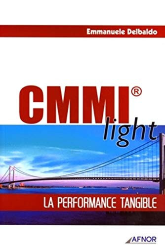 CMMI light la performance tangible