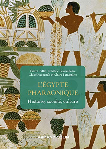 L'Égypte pharaonique histoire, société, culture