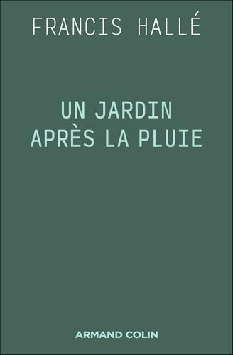 Un jardin après la pluie