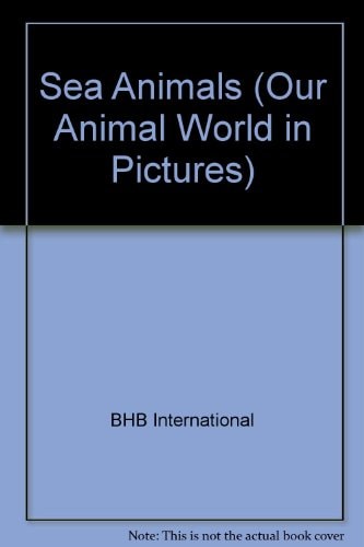 Sea Animals