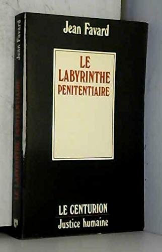 Le labyrinthe pénitentiaire (Justice humaine) (French Edition)
