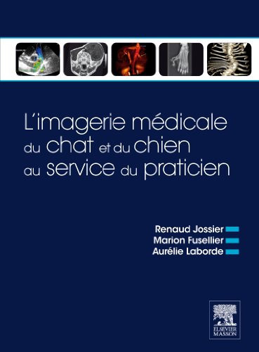 L'imagerie médicale du chat et du chien au service du praticien