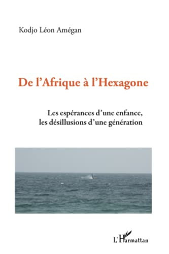 De l'Afrique à l'hexagone: Les espérances d'une enfance, les désillusions d'une génération (French Edition)