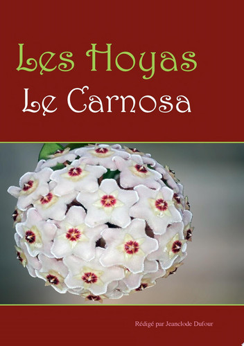 Les hoyas Les carnosas