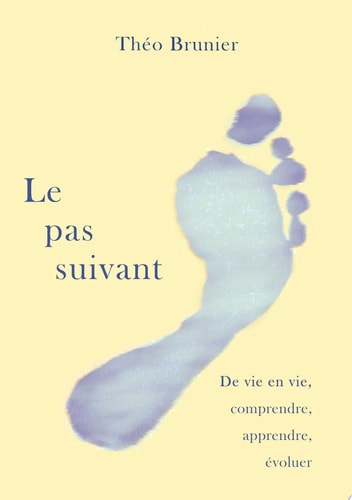 Le pas suivant De vie en vie, comprendre, apprendre, évoluer