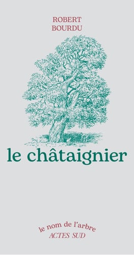 Le châtaignier