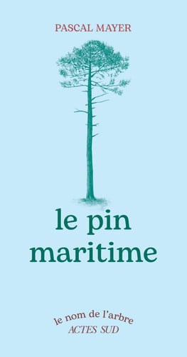 Le Pin maritime