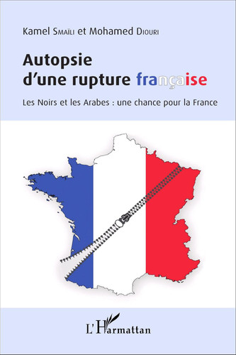 Autopsie d'une rupture française: Les Noirs et les Arabes : une chance pour la France (French Edition)