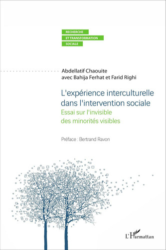L'expérience interculturelle dans l'intervention sociale Essai sur l'invisible des minorités visibles