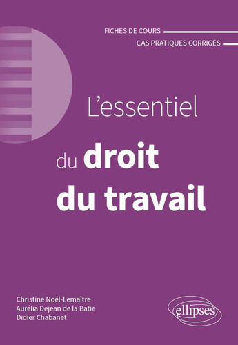 L'essentiel du droit du travail Fiches de cours et cas pratiques corrigés