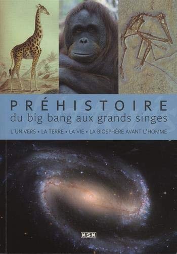 Préhistoire, du big bang aux grands singes L'univers, la Terre, la vie, la biosphère avant l'Homme